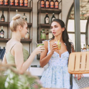 Derin sohbetler yapan iki genç ve güzel kadın yeniden dostça sohbetin tadını çıkarıyorlar. Modern bar geçmişi. Arkadaşlık kavramı, parti, eğlence, kutlama, rahatlama.