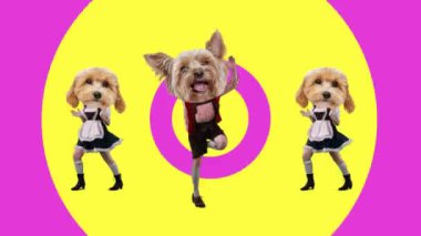 Geleneksel Bavyera kıyafetleri giymiş neşeli köpekler, çok renkli dinamik arka plana karşı neşeli bir şekilde dans ediyorlar. Hayvanlar, Ekim Festivali, gelenek, bira festivali. Hareketi durdur, animasyonu durdur