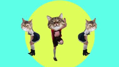 Kedi kafalı erkek ve kadınlar, hepsi geleneksel Bavyera kıyafetleri giymiş renkli dinamik arka planda dans ediyorlar. Hareket etmeyi, animasyonu durdurun. Hayvan konsepti, Ekim Festivali, gelenek, bira festivali