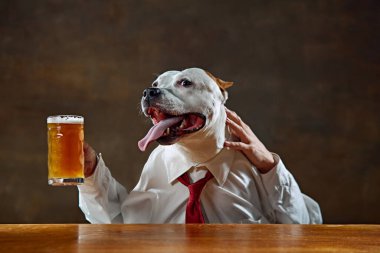 İnsan eli ile beyaz safkan köpek, gömlek ve kravat takıyor, masada oturuyor ve bira kupası tutuyor. - Şerefe. Hayvan teması kavramı, eğlence, iş dünyası, Ekim Festivali, parti
