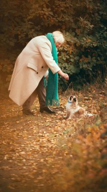 Kıdemli kadın, sıcak palto ve eşarp giymiş, sonbahar parkında renkli yapraklarla çevrili küçük köpeğiyle yürüyüş yapıyor. Köpeğini eğiten kadın. Yaşlı yaşam tarzı, evcil hayvan arkadaşı, mutluluk konsepti.