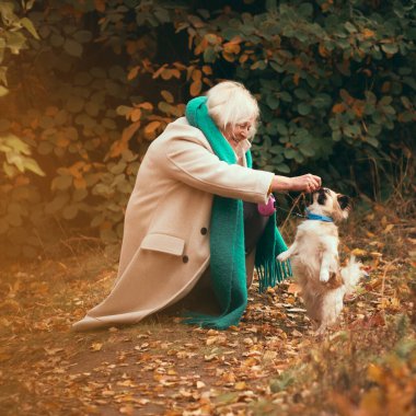 Paltosu ve eşarbıyla rahat sonbahar kıyafetleri içinde mutlu yaşlı bir kadın köpeğiyle resim parkında yürüyor, evcil hayvanlarla besleniyor ve oynuyor. Yaşlı yaşam tarzı kavramı, evcil hayvan arkadaşı, mutluluk.