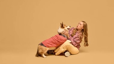 Kareli tişörtlü mutlu genç bir kadın pembe kazak giyen Corgi köpeğiyle bej renkli stüdyo geçmişine karşı neşeyle oynuyor. Hayvan kavramı, kış mevsimi, arkadaşlık, mutluluk.