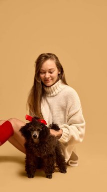 Açık renk süveter ve kırmızı çoraplar giyen, stüdyo arka planında safkan siyah kaniş köpeğiyle poz veren güzel bir genç kadının portresi. Hayvan kavramı, kış mevsimi, arkadaşlık