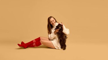 Açık renk süveter ve kırmızı çoraplar giyen, stüdyo arka planında safkan siyah kaniş köpeğiyle poz veren güzel bir genç kadının portresi. Hayvan kavramı, kış mevsimi, arkadaşlık