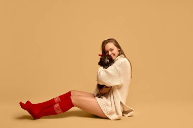 Hafif bir süveter, kırmızı çoraplar giymiş gülümseyen genç bir kadının portresi stüdyo arka planında sevimli siyah kaniş köpeğine sarılıyor. Hayvan kavramı, kış mevsimi, arkadaşlık