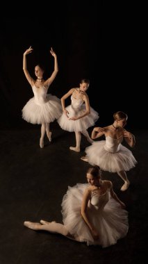 Zarif ve zarif genç kızların dikey görüntüsü, balerinler karanlık arkaplana karşı performans sırasında güzel simetrik formasyon yaratıyorlar. Klasik dans, sanat, hareketlerin güzelliği kavramı