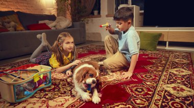 İki çocuk, erkek ve kız akşamları sıcacık oturma odasında oyuncak tıbbi aletlerle köpeklerini tedavi ediyormuş gibi davranıyorlar. Hayvan kavramı, çocukluk, ebeveynlik