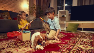 Oyuncak tıbbi malzemelerle köpekleriyle doktorculuk oynayan iki çocuk akşamları evlerinde rahat bir oturma odasında oturuyorlar. Veteriner gibi davranıyorum. Hayvan kavramı, çocukluk, hayal gücü.