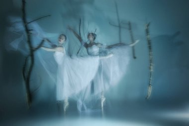 Sis içinde dans eden iki balerin, beyaz tüllerle örtülü. Zarif, ağırlıksız, spektral ışıkta hareket eden. Sanat, gizem, hareket ve zarafet zamansız balede. Fantezi ve hayalet estetiği