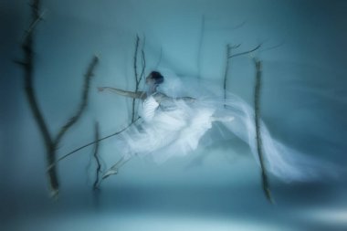 Sisin içinde yüzen hayalet balerin gizemli sisli ormanda bir sıçrayışın ortasında yakalandı. Ruhsal ışık gizem ve zarafet vizyonu yaratır. Klasik dans, hareket, fantezi ve rahatsız edici güzellik kavramı.