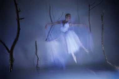 Hayalet balerin havada süzülüyor, duvağı sis gibi süzülüyor. Dünyalar arasında dans ediyor, sonsuz bir zarafetle askıya alınmış. Bale, hareket, klasik dans ve rahatsız edici güzellik kavramı..