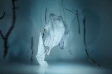 Yüzen balerinler tülle örtülü gerçeküstü bale yapıyorlar. Zarif hareket ve akan kumaş sisli ormanda rüya gibi bir kompozisyon oluşturur. Güzellik, dans, hareket ve fantezi kavramı.