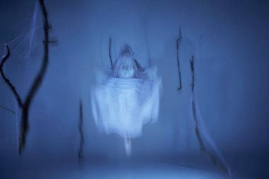 Hayalet, sis içinde dönen balerin gibi, duvağı hayalet gibi süzülüyor. Sonsuz bir hareketle, ağırlıksız ve gerçeküstü bir şekilde. Fantezi balesi, hareket ve akılda kalıcı zarafet kavramı..