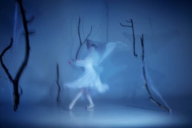 Zarif balerin, arkasında perdeli perdelerle fısıldayarak ilerleyen, sonu gelmeyen bir dansla yakalanan. Gizemli sisli orman. Hareket kavramı, ruhani zarafet ve ebedi bale anlayışı..