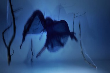 Hayalet balerin, hayaletsel ışıltıda asılı kalmış, tıpkı bir hareket gibi hayalete yakalanmış. Işık ve gölge zarafet ve gizemi harmanlarlar. Sanat anlayışı, zarafet ve doğaüstü zarafet..