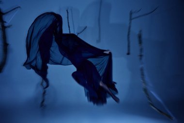 Hayalet, ağırlıksız dans eden balerin gibi, ruhani duvak buğunun içine doğru uzanıyor. Hayaletsel ışıkta donmuş bir zarafet. Bale, fantezi ve doğaüstü hareket kavramı..