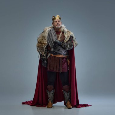 Yaşlı sakallı bir adamın tam boy portresi, ortaçağ kralının kürk kaplı pelerinli ve altın tacıyla elleri kılıçların üzerinde duran. Otorite ve güç. Tarih kavramı, kraliyet, fantezi, liderlik