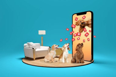 Sosyal medya hayvanları. Üç köpek ekranı hevesle izlerken, mavi arka plana karşı yüzen sosyal medya tepkileriyle çevrili akıllı telefondan dijital hayvan etkileyicisi ortaya çıkıyor. Telefonun 3B modeli