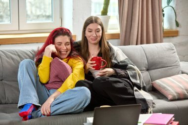 İki genç kadın, oturma odasındaki kanepede dinlenen arkadaşlar, dizüstü bilgisayarda film izleyen, neşeli anları paylaşan. Arkadaşınla evde dinleniyorsun. Yaşam tarzı, arkadaşlık, rahatlık kavramı