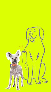 Köpek neşeli bir eskizin yanında duruyor. Pençesini sarı zeminde selamlar gibi kaldırıyor. Elle çizilmiş cesur renkli bir poster. Hayvan kavramı, oyun, jest, dostluk, mizah.