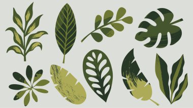 Soyut orman yapraklarının, dokulu yeşil renkli vektör stiliyle toplanması. Mobil uygulamalar ve web arayüzleri için sezonluk promosyon görselleri kavramı