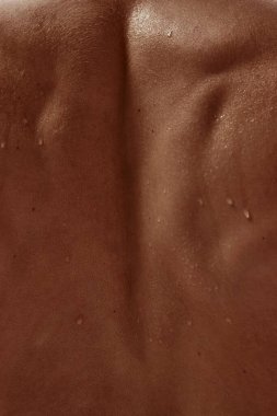 Görünür ter damlacıkları ve deri gözenekleri olan kaslı erkek gövdesinin arka görünüşü. Erkek spa tanıtımı, vücut kimlik serisi, sağlık posteri tasarımı ve zihinsel sağlık desteği kavramı.