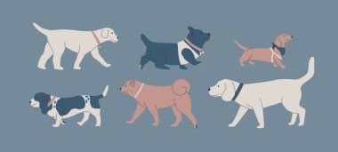 Bir dizi köpek. Farklı cinsten şirin köpekler. Köpek şovu ya da köpek yürüyüşü. Şehirde ya da parkta. Vektör düz kontur grafikleri.