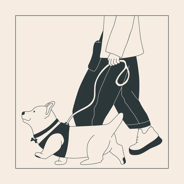 stock vector A man walks a dog on a leash. Cute corgi on a walk. Dog show or dog walking in the city or in the park. Vector flat contour graphics.