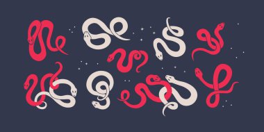 Sevimli çarpık renkli yılanların grafiksel öğeleri. Zıt arkaplanlarda çok renkli yılanlar. Tasarım için vektör izole illüstrasyonu.