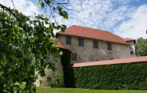 Castle Otocec River Krka Dolenjska Region Slovenia — Stock Photo, Image