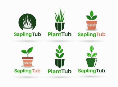 Sapling Küvet logosu tasarımı