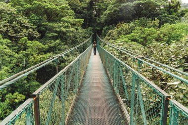 Tropikal bir ormanın ortasında köprüden aşağı yürüyen tanınmayan biri..