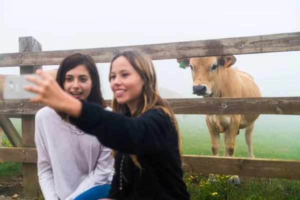 两个女性朋友带着一头被栅栏隔开的奶牛自拍 — 图库照片