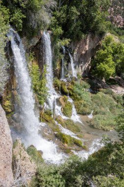 Rifle Falls Eyalet Parkı 'nda çağlayan şelaleler çok güzeldir. Yaz resmi.