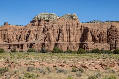 Utah, ABD 'deki Capital Reef Ulusal Parkı' nda çarpıcı kaya oluşumları. Onlara Katedral deniyor. Sarı, turuncu ve gri taşlardan yapılmış bir sürü eşsiz şekil var. Ön planda çöl bitkileri. Mavi gökyüzü.