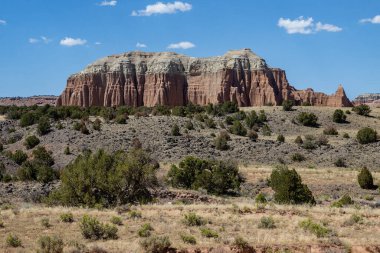 Utah, ABD 'deki Capital Reef Ulusal Parkı' nda çarpıcı kaya oluşumları. Onlara Katedral deniyor. Sarı, turuncu ve gri taşlardan yapılmış bir sürü eşsiz şekil var. Ön planda çöl bitkileri. Mavi gökyüzü.