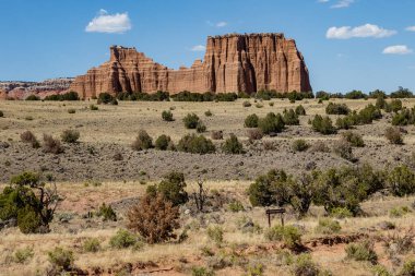 Utah, ABD 'deki Capital Reef Ulusal Parkı' nda çarpıcı kaya oluşumları. Onlara Katedral deniyor. Sarı, turuncu ve gri taşlardan yapılmış bir sürü eşsiz şekil var. Ön planda çöl bitkileri. Mavi gökyüzü.