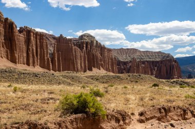Utah, ABD 'deki Capital Reef Ulusal Parkı' nda çarpıcı kaya oluşumları. Onlara Katedral deniyor. Sarı, turuncu ve gri taşlardan yapılmış bir sürü eşsiz şekil var. Ön planda çöl bitkileri. Mavi gökyüzü.