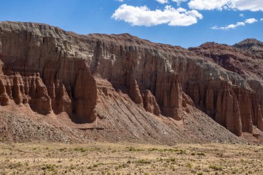 Utah, ABD 'deki Capital Reef Ulusal Parkı' nda çarpıcı kaya oluşumları. Onlara Katedral deniyor. Sarı, turuncu ve gri taşlardan yapılmış bir sürü eşsiz şekil var. Ön planda çöl bitkileri. Mavi gökyüzü.