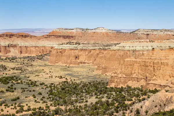 Utah, ABD 'deki Capital Reef Ulusal Parkı' nda çarpıcı kaya oluşumları. Onlara Katedral deniyor. Sarı, turuncu ve gri taşlardan yapılmış bir sürü eşsiz şekil var. Ön planda çöl bitkileri. Mavi gökyüzü.