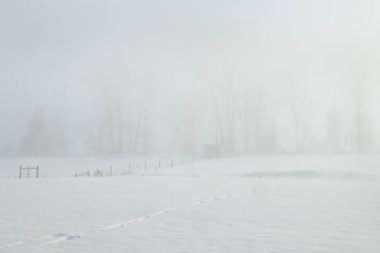 Yoğun sisle kaplanmış sakin bir kış manzarası. Kar zemini kaplıyor, ayak izlerini ve yakınlardaki ağaçların detaylarını ve uzaktaki küçük bir yapıyı gizliyor..