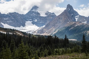 Yoğun ormanlar ve canlı bitkilerle çevrili bulutlu bir gökyüzünün altında yükselen dağ zirveleri. Huzurlu bir sahne, el değmemiş bir çölde doğanın güzelliğini yakalar..