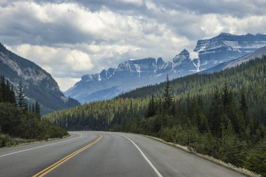 Dolambaçlı bir yol, bulutlu bir gökyüzünün altındaki görkemli dağların çerçevelediği sık bir ormana çıkar. Manzara doğal güzellik ve sükuneti sergiliyor..