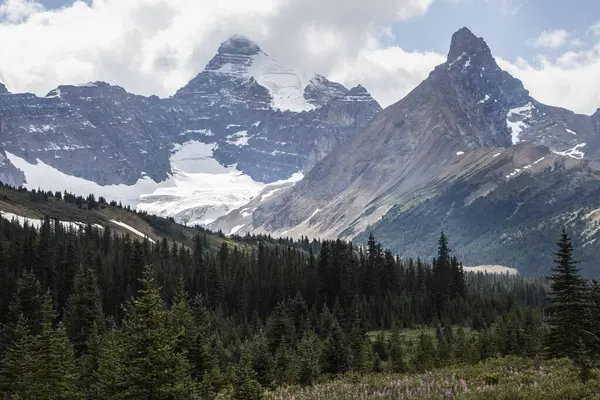 Yoğun ormanlar ve canlı bitkilerle çevrili bulutlu bir gökyüzünün altında yükselen dağ zirveleri. Huzurlu bir sahne, el değmemiş bir çölde doğanın güzelliğini yakalar..