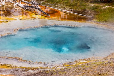 Renkli mineral yatakları ve yemyeşil sularla çevrili mavi sulara çarpan canlı bir kaplıca sergisi. Güneş ışığı Yellowstone Ulusal Parkı 'nın doğal güzelliğini aydınlatıyor..
