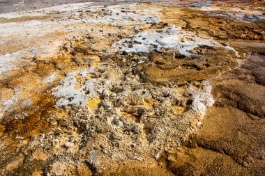 Canlı mineral yatakları, Yellowstone Ulusal Parkı 'nın bu jeotermal bölgesinin zeminini kaplıyor. Havalandırmalardan yükselen buhar, parkın açık bir gökyüzü altında aktif jeolojisini gözler önüne seriyor.