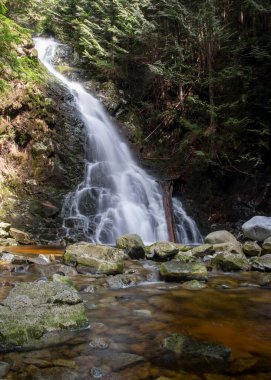 Çarpıcı bir şelaleden akan su yoğun yeşilliklerle çevrili kayalık uçurumlardan aşağı akar ve aşağıdaki küçük havuzda barışçıl bir atmosfer yaratır. Güneş ışığı ağaçların arasından süzülür.