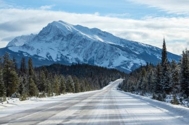 Her yer yemyeşil ağaçlarla çevrili ve parçalı bulutlu bir gökyüzünün altında yükselen dağlara doğru uzanan dolambaçlı bir yol..