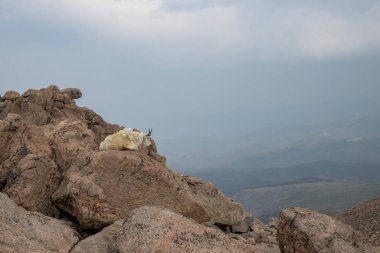 Bir dağ keçisi engebeli arazi ve bulutlu gökyüzünün altındaki dağlarla çevrili büyük bir kaya formasyonunda uzanıyor. Atmosfer sakin ve geniştir..